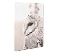 Big Box Art Watchful Barn Owl Bird Canvas Wall Art Framed Picture Print, 30 x 20 Inch (76 x 50 cm), White, Beige, Grey, Brown