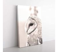 Big Box Art Watchful Barn Owl Bird Canvas Wall Art Print Ready to Hang Picture, 76 x 50 cm (30 x 20 Inch), White, Beige, Grey, Brown