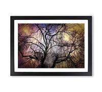 Big Box Art Weeping Willow Tree in Abstract Framed Wall Art Picture Print Ready to Hang, Black A2 (62 x 45 cm)