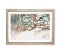 Big Box Art White Hare Vol.7 by Bruno Liljefors Framed Wall Art Picture Print Ready to Hang, Oak A2 (62 x 45 cm)