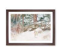 Big Box Art White Hare Vol.7 by Bruno Liljefors Framed Wall Art Picture Print Ready to Hang, Walnut A2 (62 x 45 cm)