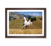 Big Box Art White Horse Running Landscape Framed Wall Art Picture Print Ready to Hang, Walnut A2 (62 x 45 cm)