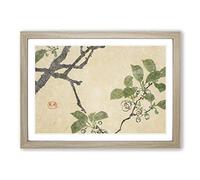 Big Box Art White Plum Flowers by Shibata Zeshin Framed Wall Art Picture Print Ready to Hang, Oak A2 (62 x 45 cm)