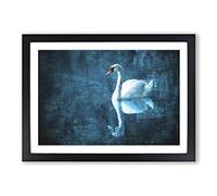 Big Box Art White Swan on a Blue Lake Painting Framed Wall Art Picture Print Ready to Hang, Black A2 (62 x 45 cm)