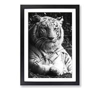 Big Box Art White Tiger Framed Wall Art Picture Print Ready to Hang, Black A2 (62 x 45 cm)