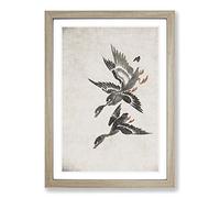 Big Box Art Wild Geese in Flight by Bian Shoumin Framed Wall Art Picture Print Ready to Hang, Oak A2 (62 x 45 cm)