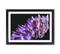 Big Box Art Wild Purple Orchid Flowers Painting Framed Wall Art Picture Print Ready to Hang, Black A2 (62 x 45 cm)