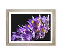 Big Box Art Wild Purple Orchid Flowers Painting Framed Wall Art Picture Print Ready to Hang, Oak A2 (62 x 45 cm)