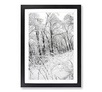 Big Box Art Winter Forest Woodland Landscape Framed Wall Art Picture Print Ready to Hang, Black A2 (62 x 45 cm)
