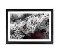 Big Box Art Winters Bloom Flowers in Abstract Framed Wall Art Picture Print Ready to Hang, Black A2 (62 x 45 cm)