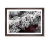 Big Box Art Winters Bloom Flowers in Abstract Framed Wall Art Picture Print Ready to Hang, Walnut A2 (62 x 45 cm)