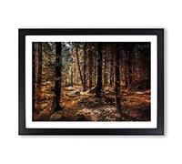 Big Box Art Within The Woods Framed Wall Art Picture Print Ready to Hang, Black A2 (62 x 45 cm)