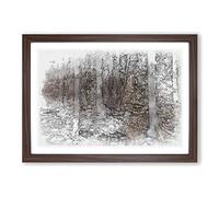 Big Box Art Within The Woods Sketch Framed Wall Art Picture Print Ready to Hang, Walnut A2 (62 x 45 cm)