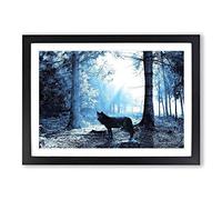 Big Box Art Wolf in The Blue Forest Framed Wall Art Picture Print Ready to Hang, Black A2 (62 x 45 cm)