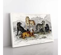 Big Box Art Wolves & Hounds by Oliver Goldsmith Canvas Wall Art Print Ready to Hang Picture, 76 x 50 cm (30 x 20 Inch), White, Grey, Brown, Black, Cream