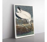 Big Box Art Wood Stork by John James Audubon Canvas Wall Art Print Ready to Hang Picture, 76 x 50 cm (30 x 20 Inch), Grey, White, Brown, Grey, Black