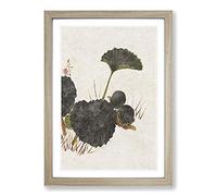 Big Box Art Worm on a Green Leaf by Shibata Zeshin Framed Wall Art Picture Print Ready to Hang, Oak A2 (62 x 45 cm)