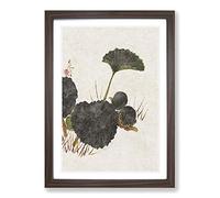Big Box Art Worm on a Green Leaf by Shibata Zeshin Framed Wall Art Picture Print Ready to Hang, Walnut A2 (62 x 45 cm)