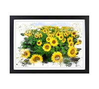 Big Box Art Yellow Sunflower Flowers V3 Framed Wall Art Picture Print Ready to Hang, Black A2 (62 x 45 cm)