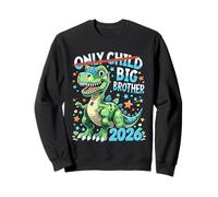 Big Brother 2026 Dino Design for Kids Celebrating Family Sweatshirt