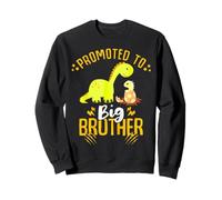 Big Brother Loading 2027, Promoted To Big Brother 2027 Dino Sweatshirt