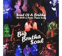 Big Brutha Soul - Soul of a Brutha: Birth of..