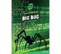 Big bug: Les enquêtes de Logicielle