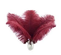 Big Burgundy Ostrich Feathers - 24Pcs 8-10inch Wine Red Feathers for Party Centerpieces, Flower Arrangement and Home Decor
