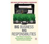 Big Business, Big Responsibilities: From Villains to Visionaries: How Companies are Tackling the World's Greatest Challenges