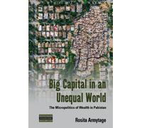 Big Capital in an Unequal World : The Micropolitics of Wealth in Pakistan