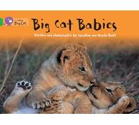 Big Cat Babies: Band 05/Green (Collins Big Cat)