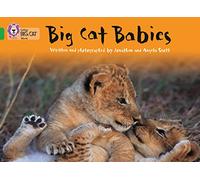 Big Cat Babies: Band 05/Green (Collins Big Cat)
