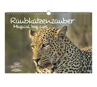 Big Cat Magic Everlasting Calendar DIN A3 Various Big Cats - Seelenzauber