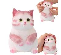 Big Cat Squishies Toy,Stress Relief Toy,Soft Cat Squeeze Stress Relief Toys for Kids & Adults, Cute Dumpling Squishy Realistic Sensory Fidget Toy for Kids Adults Birthday Gifts (PK)