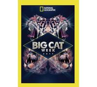 Big Cat Week 2017