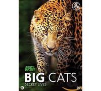 BIG CATS