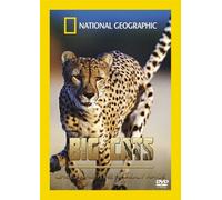 Big Cats: Cheetahs - The Deadly Race [DVD]