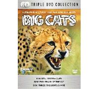 Big Cats [DVD]