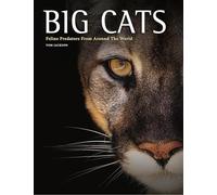 Big Cats: Feline Predators From Around The World (Animals in Photographs)