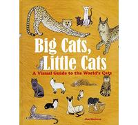 Big Cats, Little Cats: A Visual Guide to the World’s Cats (Big & Little)