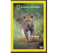 Big Cats: Stalking Leopards [DVD]