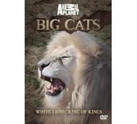 BIG CATS: White Lions: King of Kings [DVD]