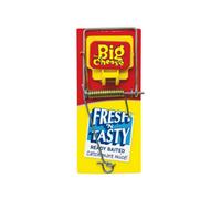 Big Cheese Stv194 Fresh Baited Mouse Trap