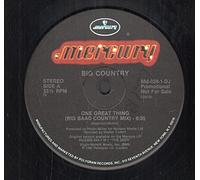 Big Country - One Great Thing (Big Baad Country Mix)