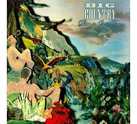 Big Country - peace in our time LP