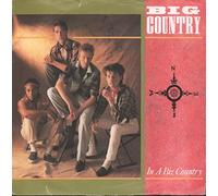 Big Country - Through A Big Country - Greatest Hits [VINYL]