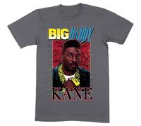 Big Daddy Kane Ropes Logo T-Shirt in Grey | Size: 2XL Big Daddy Kane Grey 2XL
