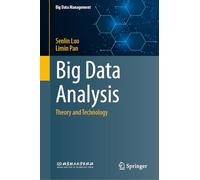 Big Data Analysis: Theory and Technology (Big Data Management)