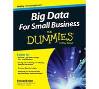 Big Data For Small Business For Dummies