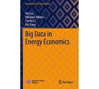 Big Data in Energy Economics (Management for Professionals)